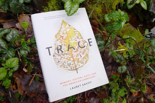 Trace by Lauret Savoy