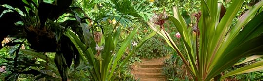 Merwin's palm forest