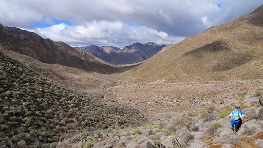 trail runners in South Africa