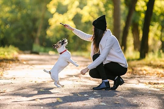 Girl playing with a dog