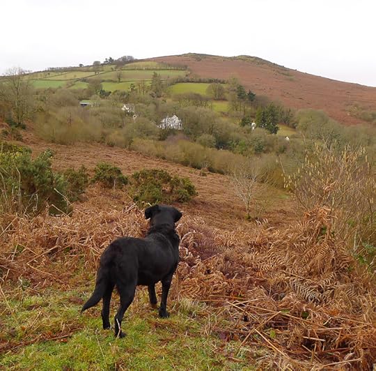 Morning on Nattadon Hill