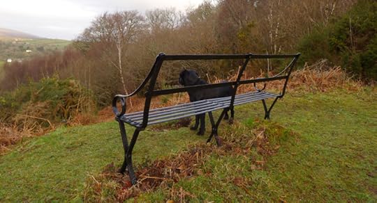 Upper bench, Nattadon Hill
