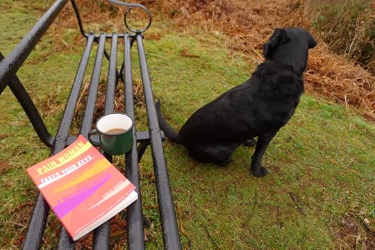 Painwoman Takes Your Keys by Sonya Huber