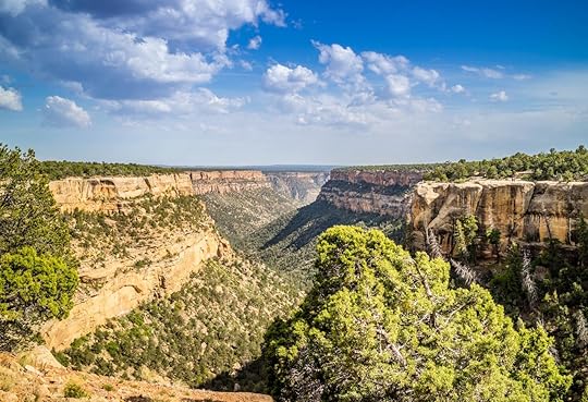 Rocky landscape of the beautiful Mesa Verde National Park, Colorado