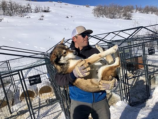 Man holding a sled dog