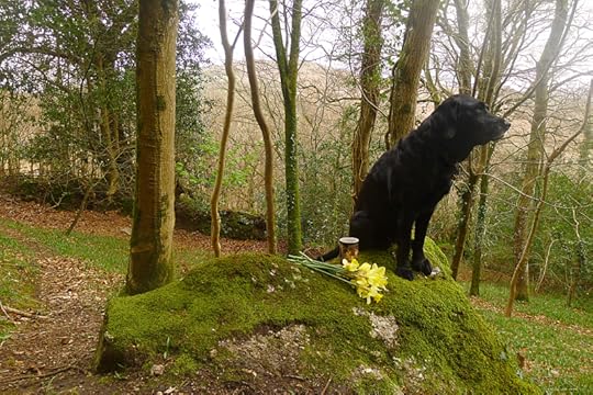 Picking wild daffodils
