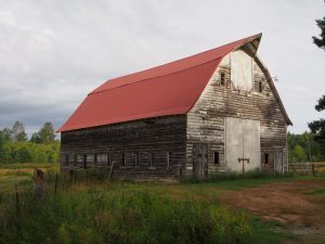 My Power Comes From Writing