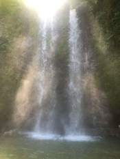 13226772_264026987280452_4067594270105294372_n