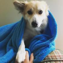 37613656_673681916314955_3068944348503605248_n