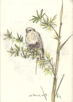 Narisa Togo S Blog Page 9