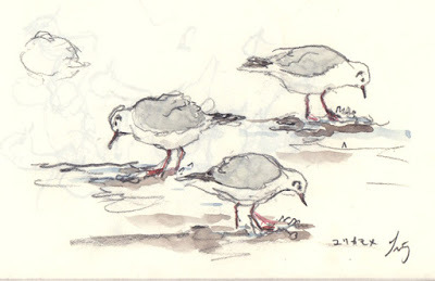 Narisa Togo S Blog Page 9