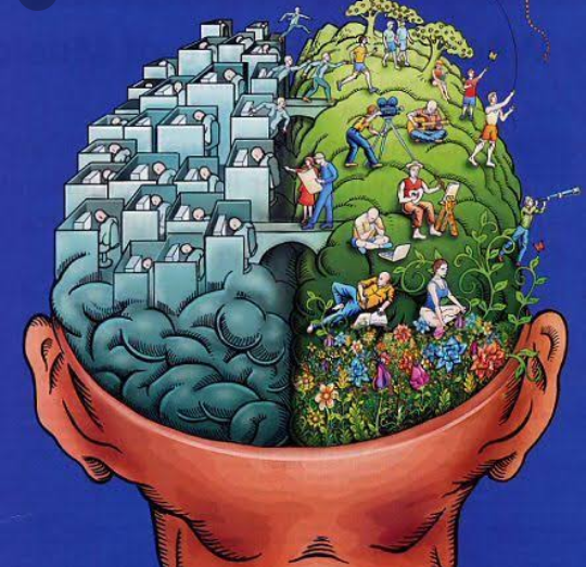 Commercial Photography