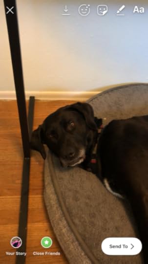 Instagram story - snap a picture