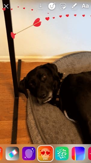 instagram story - select a filter