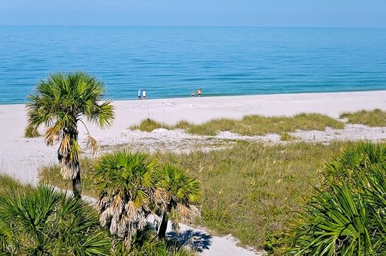 Peaceful Gulf Coast Beach in Florida