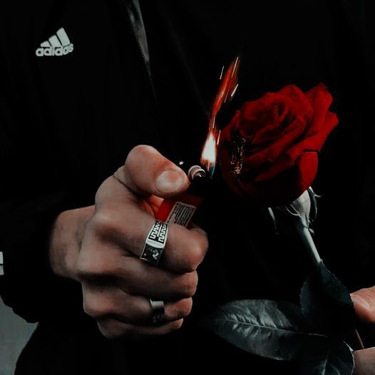 rose, fire, and red image