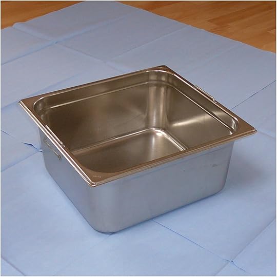 Kitchen Sink Grids Gn Container 2 3 with Drop Handles