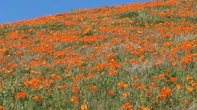 IMG_1365