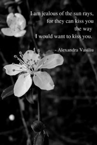 Poetry by Alexandra Vasiliu