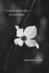 Poetry Book by Alexandra Vasiliu