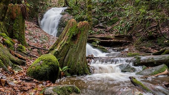 Coal Creek Falls trail