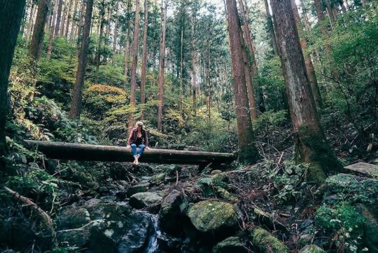 Shinrin-yoku, forest bathing in Japan