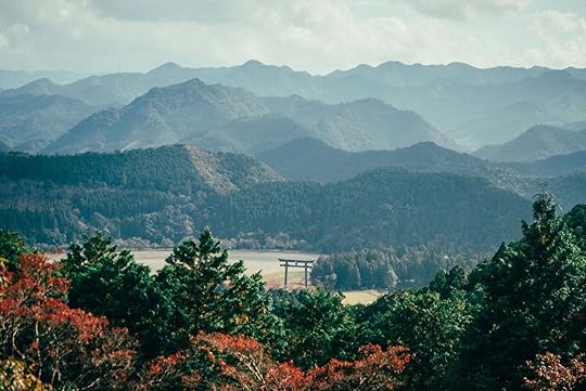 Shinrin-yoku, forest bathing in Japan