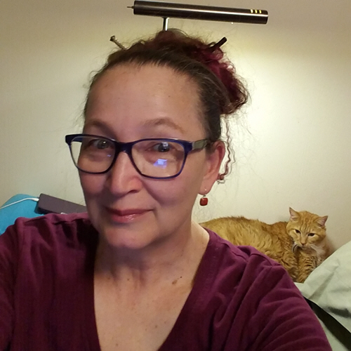 places I write - author being watched by yellow cat