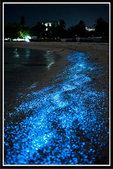 Luminescent Beach Photo / Faithfulness Leads to Revival by Deborah Perkins of His Inscriptions