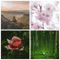 Ostara (Spring Equinox) March 19th – 23rd Oracle Reading with Violet Pin 2337