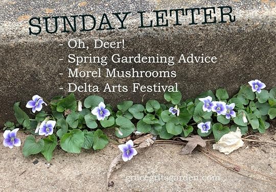 Sunday Letter 03.31.19