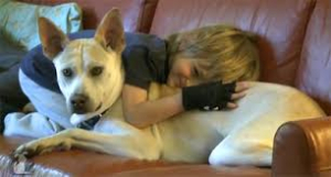 Leo service Dog andHenry Anyurisms