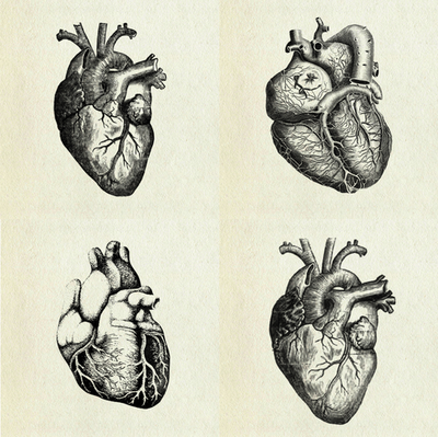 heart, drawing, and illustration image