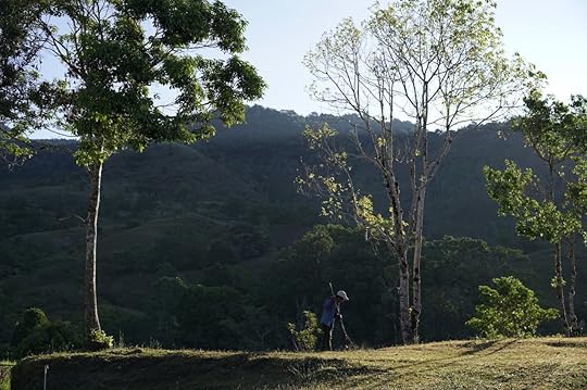 Coffee plantation and worker