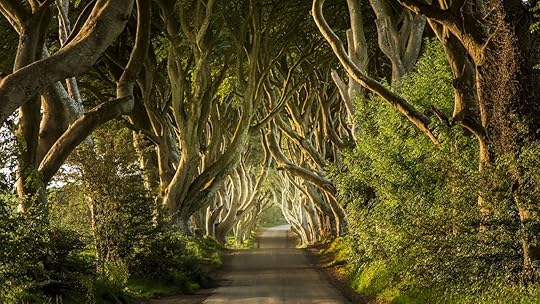 The Dark Hedges in Northern Ireland