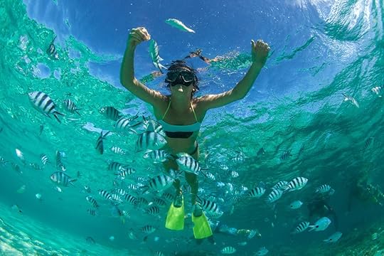 Person snorkeling in Mauritius