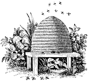 Bee skep drawing