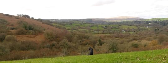 Hound on a hillside 2