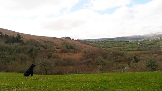 Hounds on hillside 3