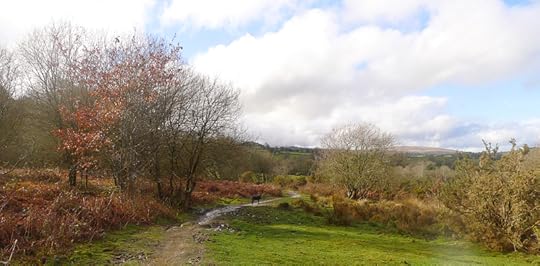 Hound on the Commons path