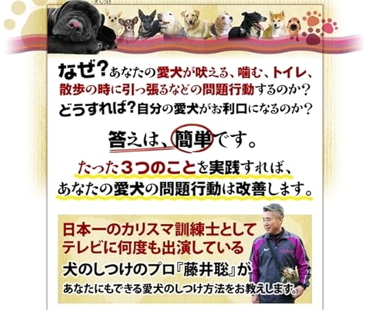 ドッグトレーナー藤井聡の<犬のしつけ講座> 公式サイト