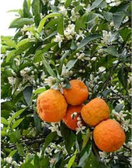 Commercial Photography