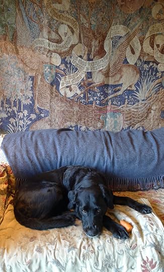 Portrait of a hound with carrot