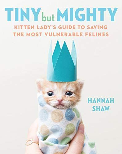 tiny-but-mighty-hannah-shaw