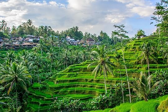 Tegallalang Rice Terraces, Ubud, Bali