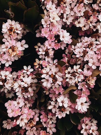 Let It Be Sunday, 217!