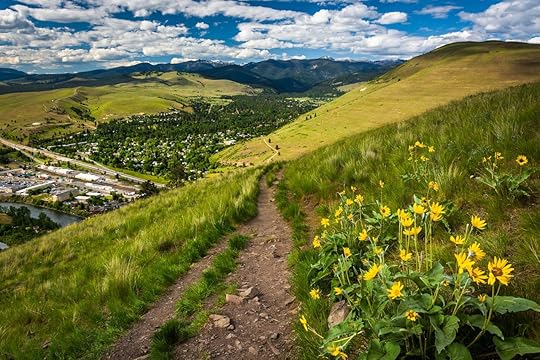 Trail and flowers on Mount Sentinel, Missoula, Montana