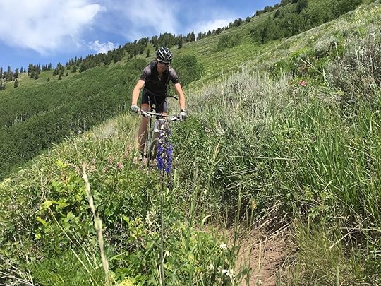 Cyclist riding through wildflowers