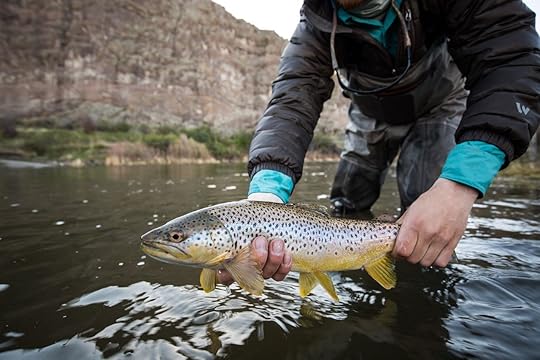 Man holding freshly caught brown trout
