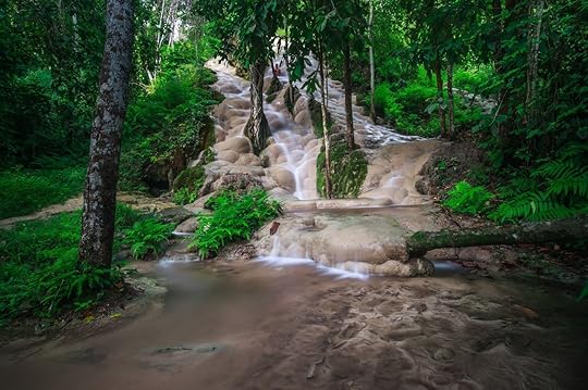 Bua Tong (Sticky waterfall) in north,Chiangmai,Thailand